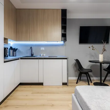 公寓 Inshiapartments On Kulisha Str 利沃夫